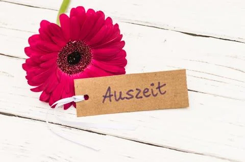 Pink gerbera daisy with tag for timeout or wellbeing Stock Photos