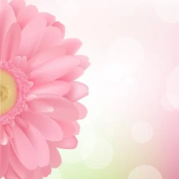Pink gerbera Stock Illustration