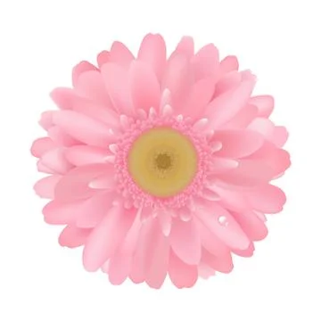 Pink gerbera Stock Illustration