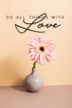 Pink gerbera vase all things Stock Photos