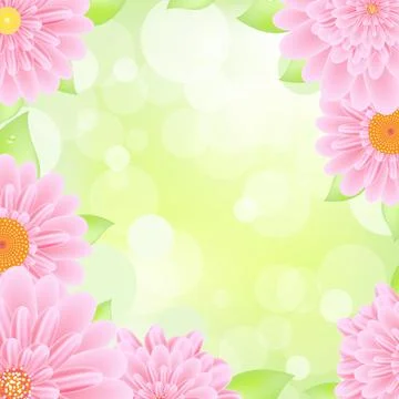 Pink Gerbers Border Stock Illustration