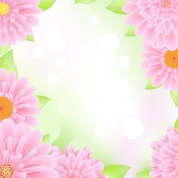 Pink gerbers frame Stock Illustration
