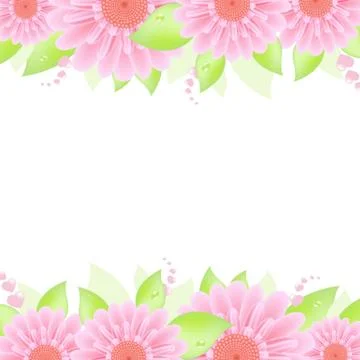 Pink gerbers Stock Illustration