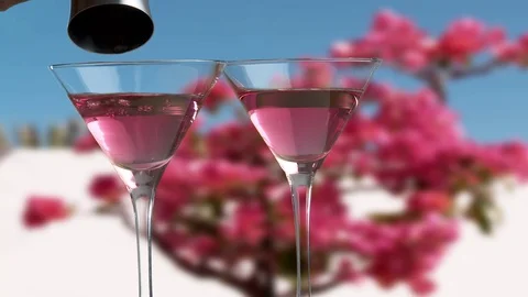 Pink gin Video stock 75727858