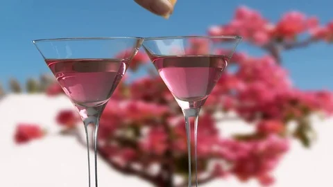 Pink gin &amp; garnish Vidéo 75997494