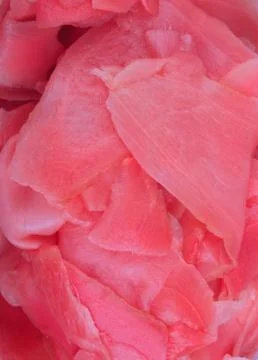 Pink ginger at day Stock Photos