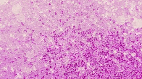 Pink glitter background loop Stock Footage 241346639