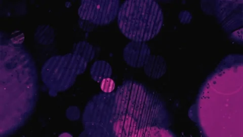 Pink Glowing Lights Bokeh Effect Background Loop  Stock Footage 237793921