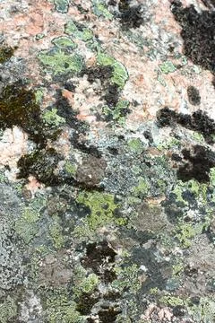 Pink Granite Stock Photos