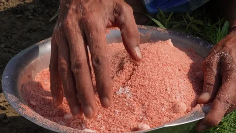 Pink Granular Fertilizer Stock-Footage 335209205