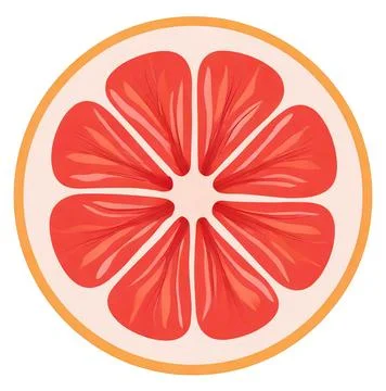 Pink grapefruit isolated on white background Stock Illustration