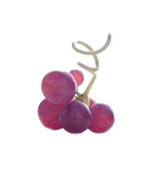 Pink grapes Stock Photos