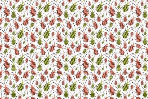 Pink green bug pattern on white. Insects background Stock Illustration