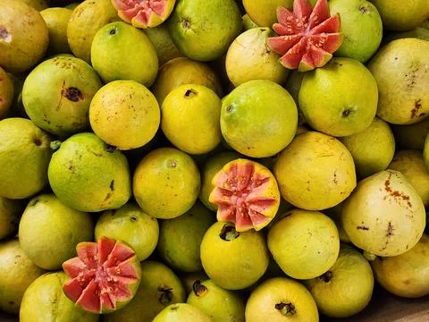 Pink guava tropical fruit Stock Photos
