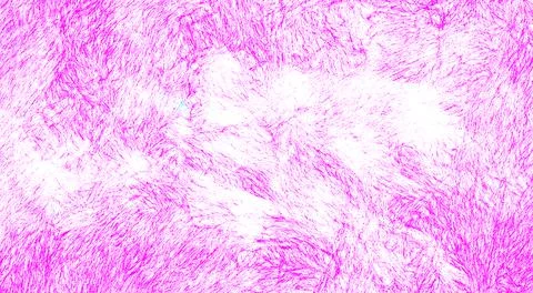 Pink hand painted backdrop background. Pencil or watercolor, abstract texture Stock Illustration