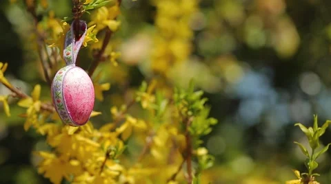 Pink Hand Painted Easter Egg Stock Footage 50614241