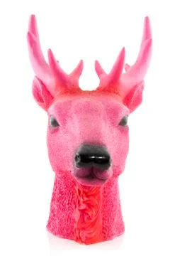 Pink head of a deer Stock Photos