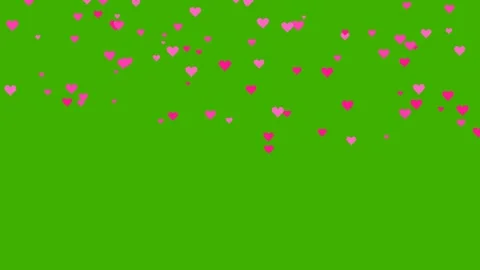 Pink hearts falling on green screen for romantic love overlay 4K Vídeos de archivo 336482323