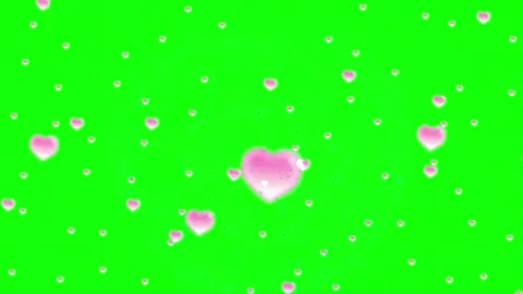 Pink hearts floating on green screen. Romantic love background with falling Видео 341304423