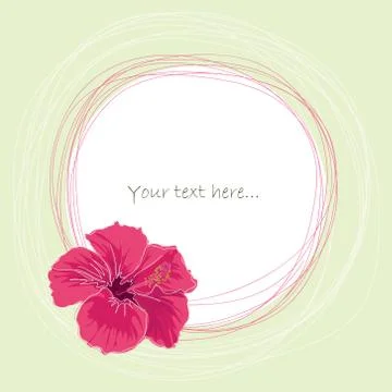 Pink hibiscus Stock Illustration