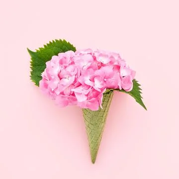 Pink hortensia or hydrangea flower in green waffle ice cream cone on a pink Foto stock