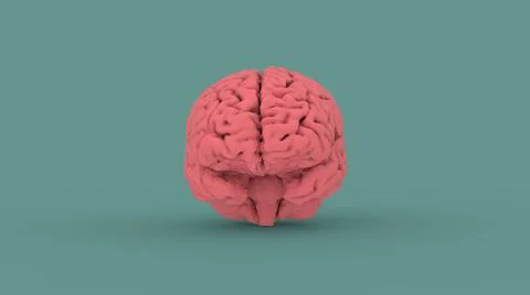 Pink human brain 3d image Stock Illustration