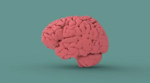 Pink human brain 3d image Stock Illustration