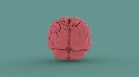 Pink human brain 3d image Stock Illustration