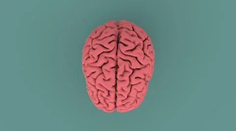 Pink human brain 3d image Illustrazione stock