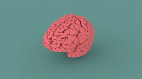 Pink human brain 3d image Stock Illustration