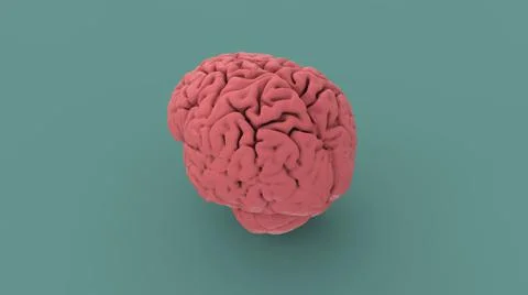 Pink human brain 3d image Stock Illustration