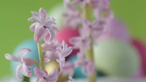 Pink hyacinths in front rotating Easter eggs. Stock Footage 148288009