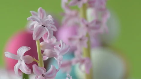 Pink hyacinths in front rotating Easter eggs. Video stock 148288030