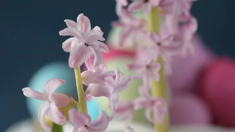 Pink hyacinths in front rotating Easter eggs Stock Footage 148288342