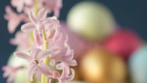 Pink hyacinths in front rotating Easter eggs Stock Footage 148288617