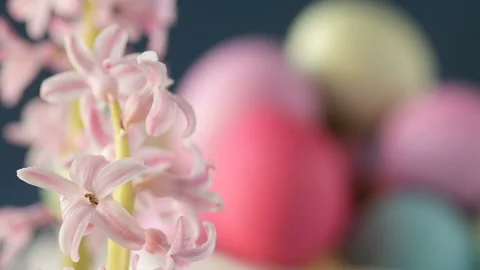 Pink hyacinths in front rotating Easter eggs Stock Footage 148288684