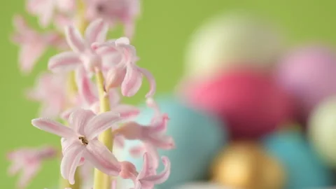 Pink hyacinths in front rotating Easter eggs Stock Footage 148288782