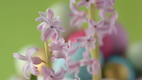 Pink hyacinths in front rotating Easter eggs. Stock Footage 148288861