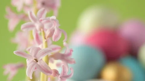 Pink hyacinths in front rotating Easter eggs Stock Footage 148291015