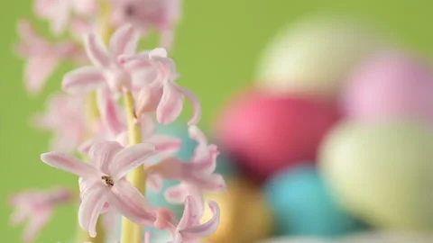 Pink hyacinths in front rotating Easter eggs Stock Footage 148291226