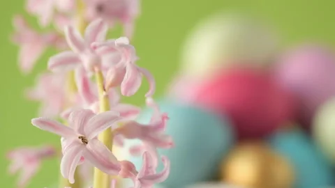 Pink hyacinths in front rotating Easter eggs Stock Footage 148291258