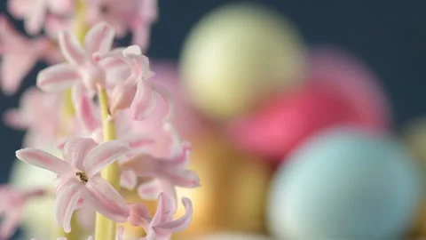 Pink hyacinths in front rotating Easter eggs Stock Footage 148291316