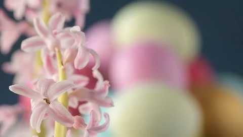 Pink hyacinths in front rotating Easter eggs Stock Footage 148291319