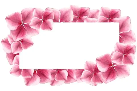 Pink hydrangea festive border Stock Illustration