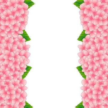 Pink Hydrangea Flower Border Stock Illustration