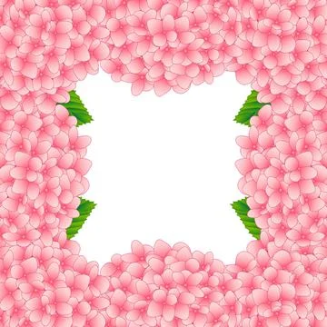 Pink Hydrangea Flower Border2 Stock Illustration