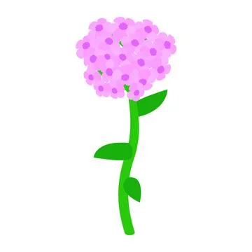 Pink hydrangea icon, isometric 3d style Stock Illustration