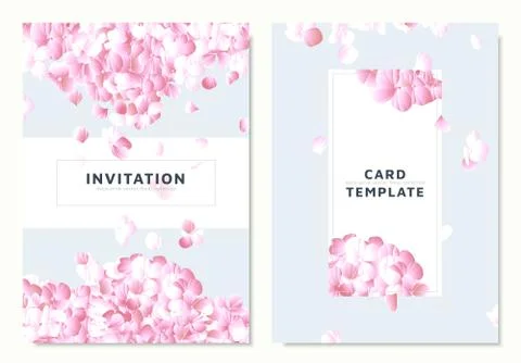Pink hydrangea, petals dropping on blue background, invitation card template Stock Illustration