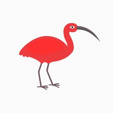 Pink Ibis bird Illustrazione stock