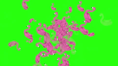 Pink inflatable flamingo pool floats fly outward from the center 库存影片 332071153